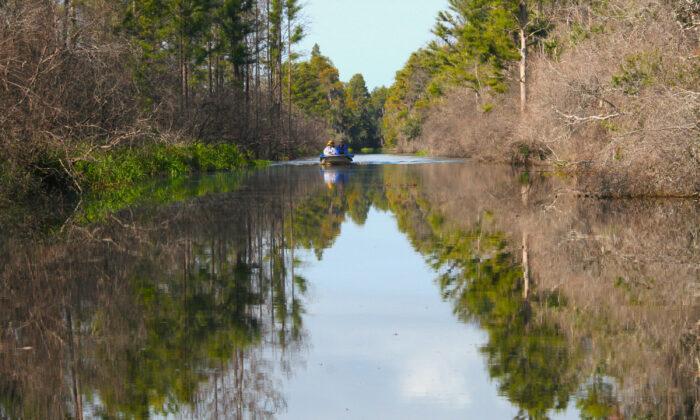 Okefenokee Swamp Lures You in With Its Peaceful, Haunting Beauty