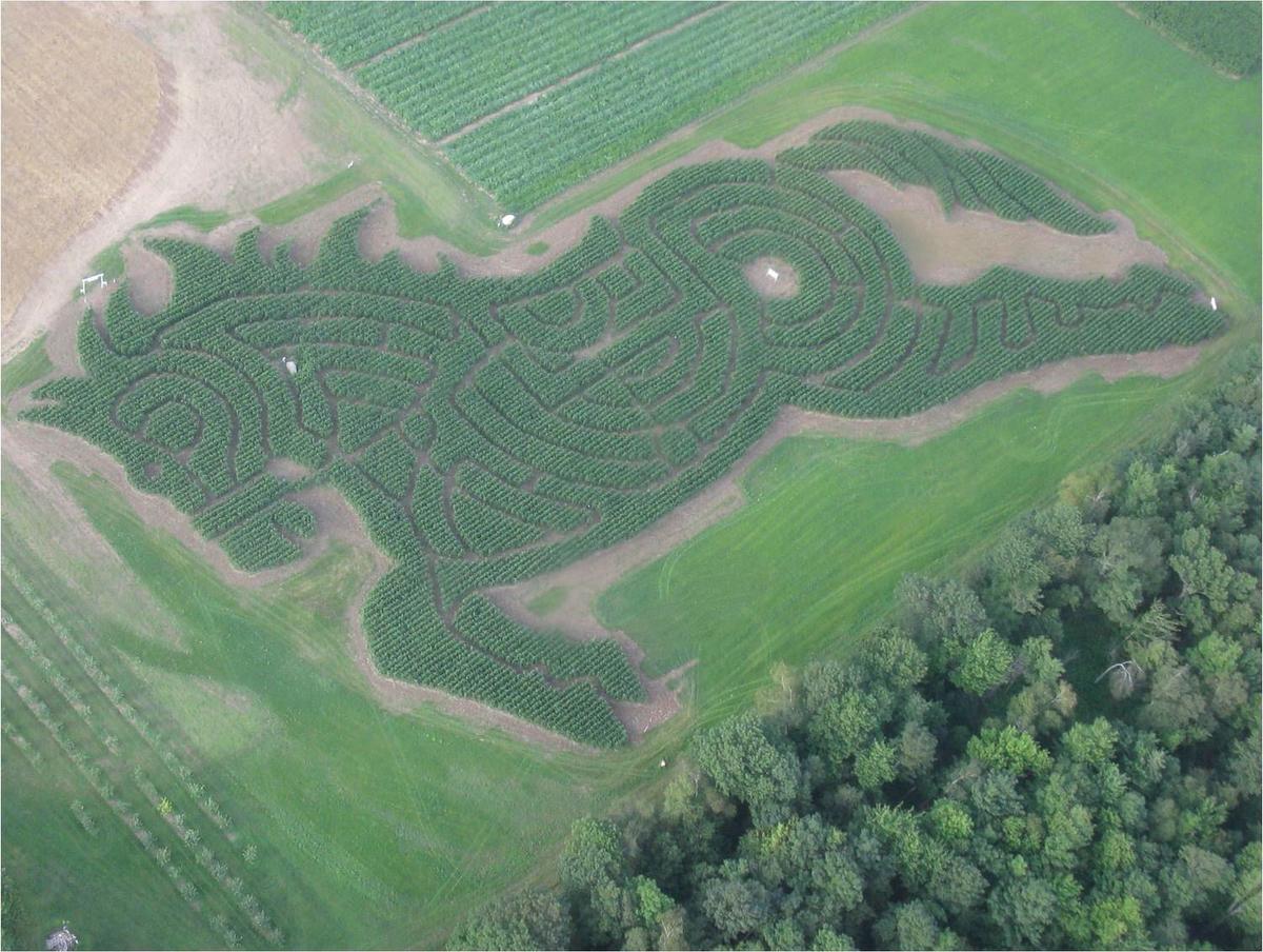Charlie Horse!, corn maze 2011. (Courtesy of Treworgy Family Orchards)