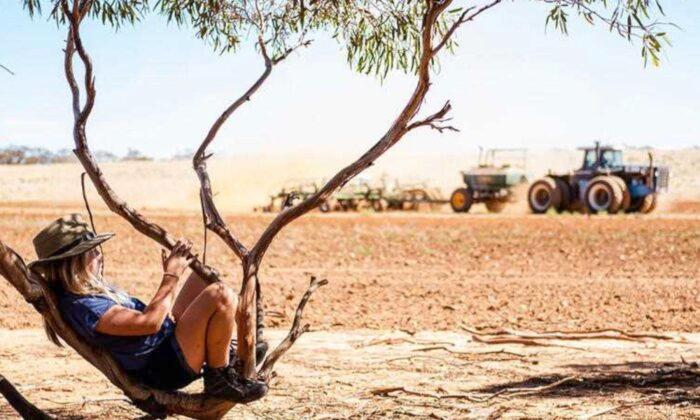 Mildura Emerges as Australia’s Richest Farming Region