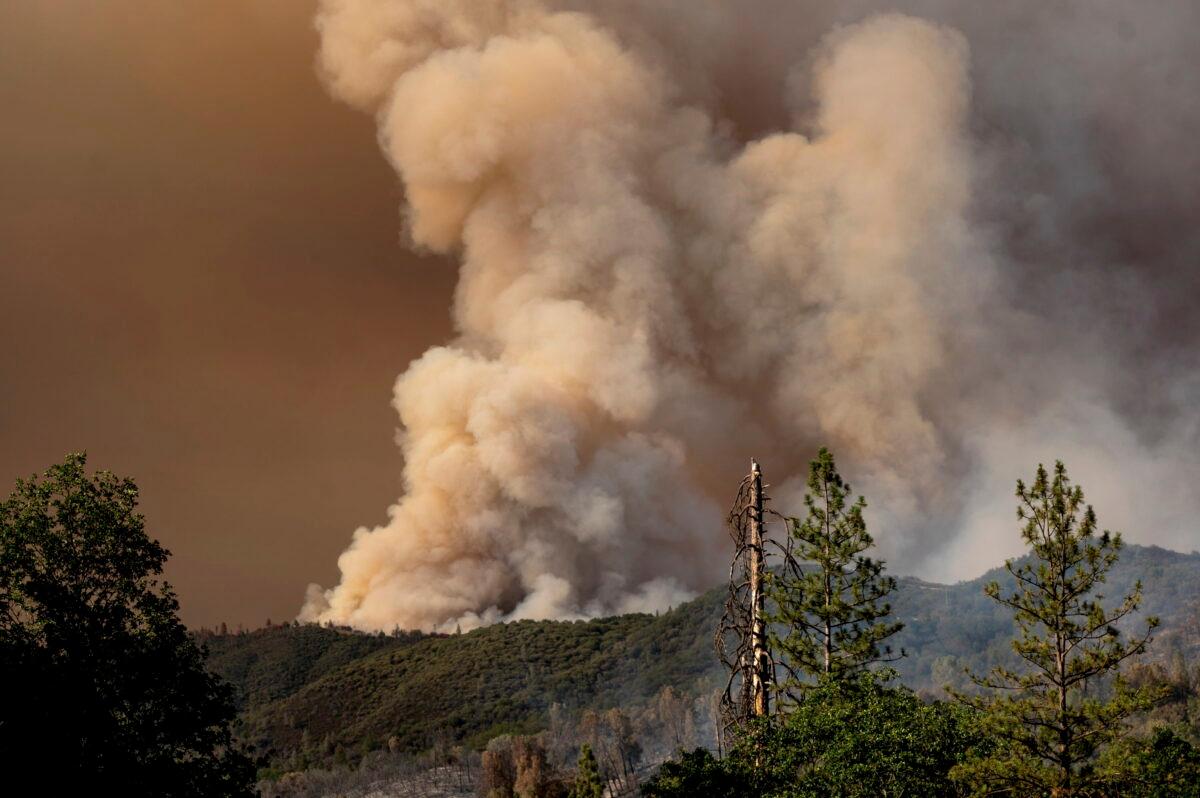 The Oak Fire burns near the Jerseydale community of Mariposa County, Calif., on July 23, 2022. (Noah Berger/AP Photo)