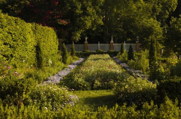 The garden is ordered in a formal layout with symmetrically linear garden beds. The five to seven-foot-tall pines on either side of the central bed populate the garden at regular intervals creating depth in the space. The rhythm continues through to the fence posts, at the rear, topped with urns. (J.H. Smith/Cartio)