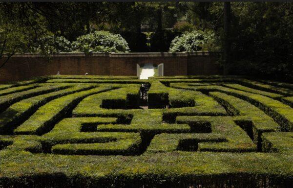 The maze, located towards the rear of the garden, is where children and adults alike would enjoy the outdoors during their stay at the Governor's Palace. (J.H. Smith/Cartio)