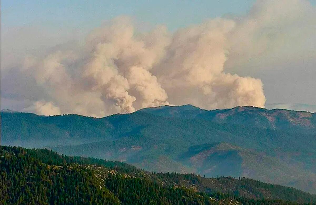 Three smoke plumes from the McKinney Fire are seen early on July 30, 2022, from a Cal Fire outdoor camera called Antelope Mt./Yreka. (California Department of Forestry and Fire Protection/Cal Fire via AP)