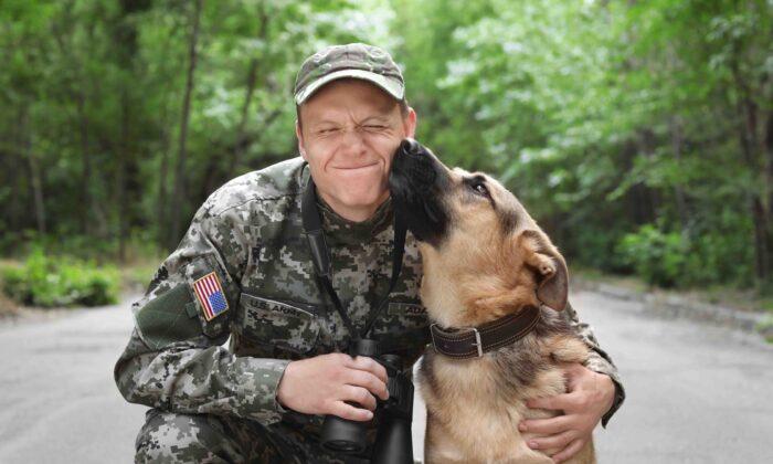 How Service Dogs Help Vets with PTSD