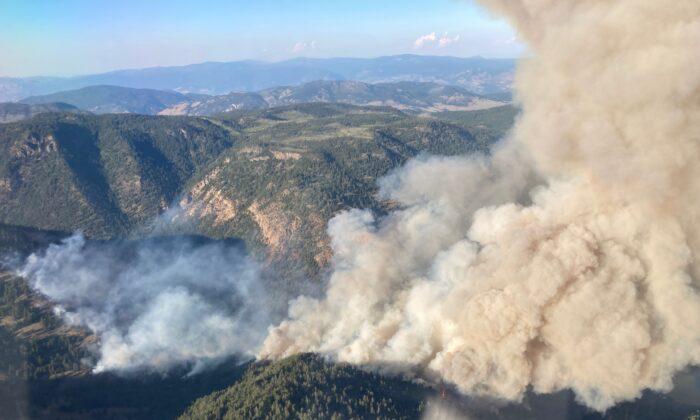 Unpredictable Winds Make Wildfires an Erratic Adversary: Experts