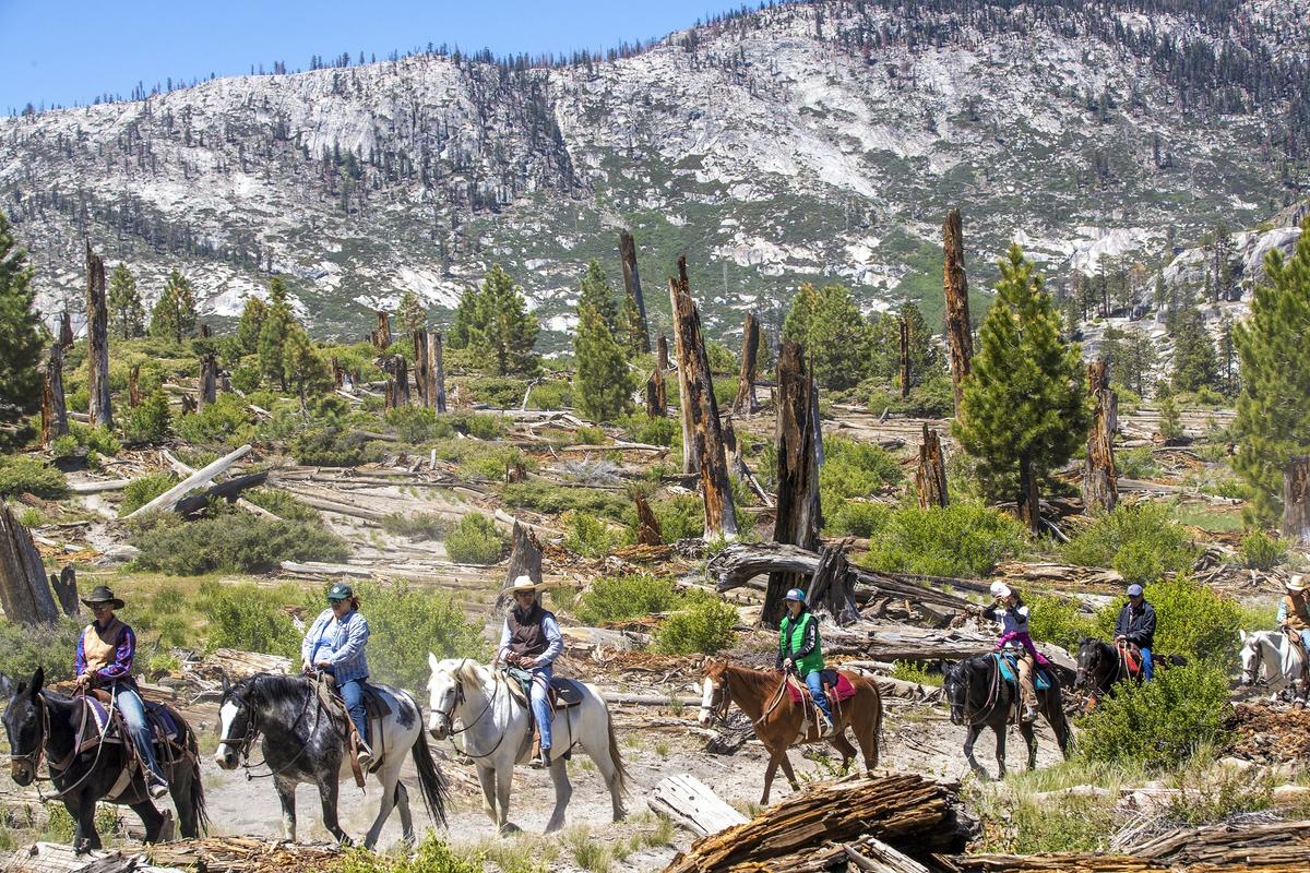 Visitors take a 2-hour guided horseback round-trip ride along the John Muir and Pacific Crest Trails to Rainbow Falls National Monument and the San Joaquin River, on June 21, 2022, in Red's Meadow, California. (Allen J. Schaben/Los Angeles Times/TNS)