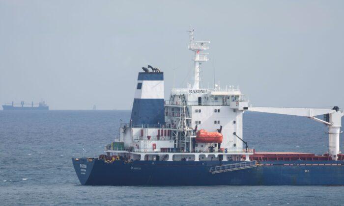 Inspectors OK First Ukraine Grain Ship but No Sign yet of More