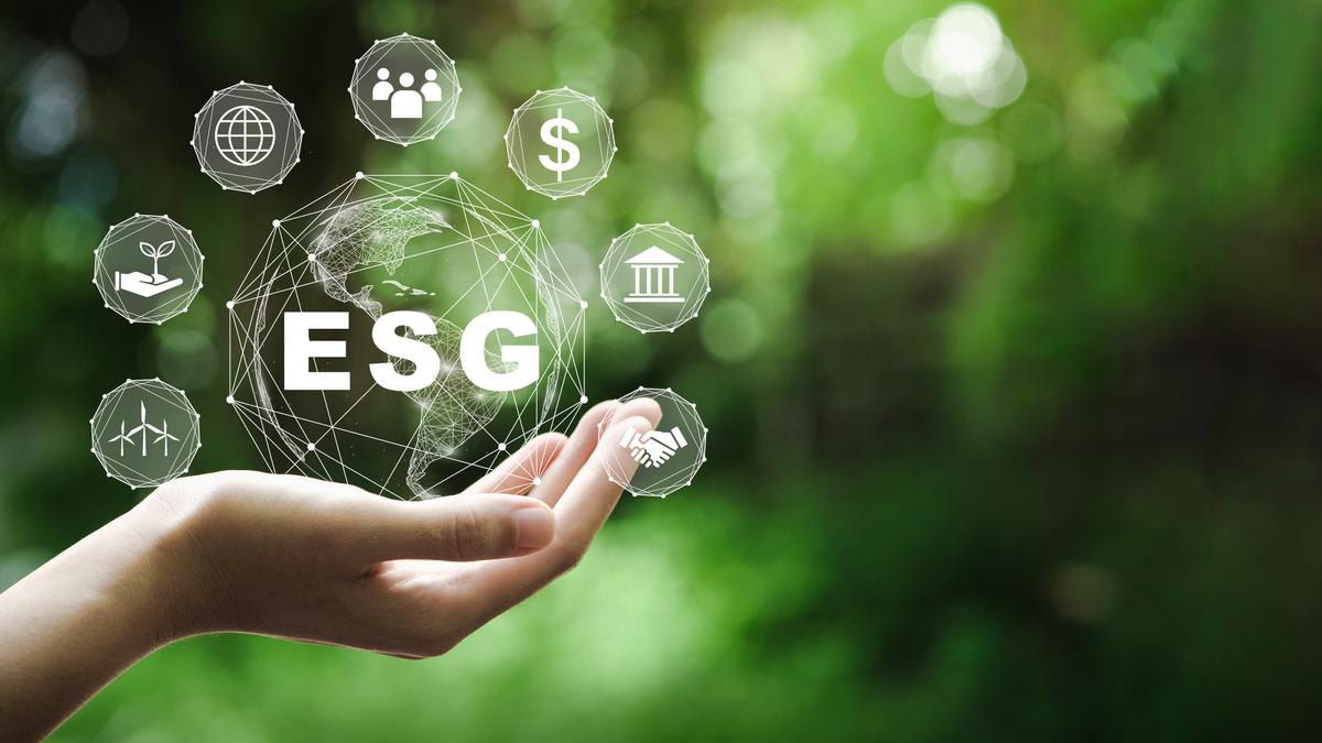The 'Social' in 'ESG' Investing Means Whatever Issuers Want It to Mean