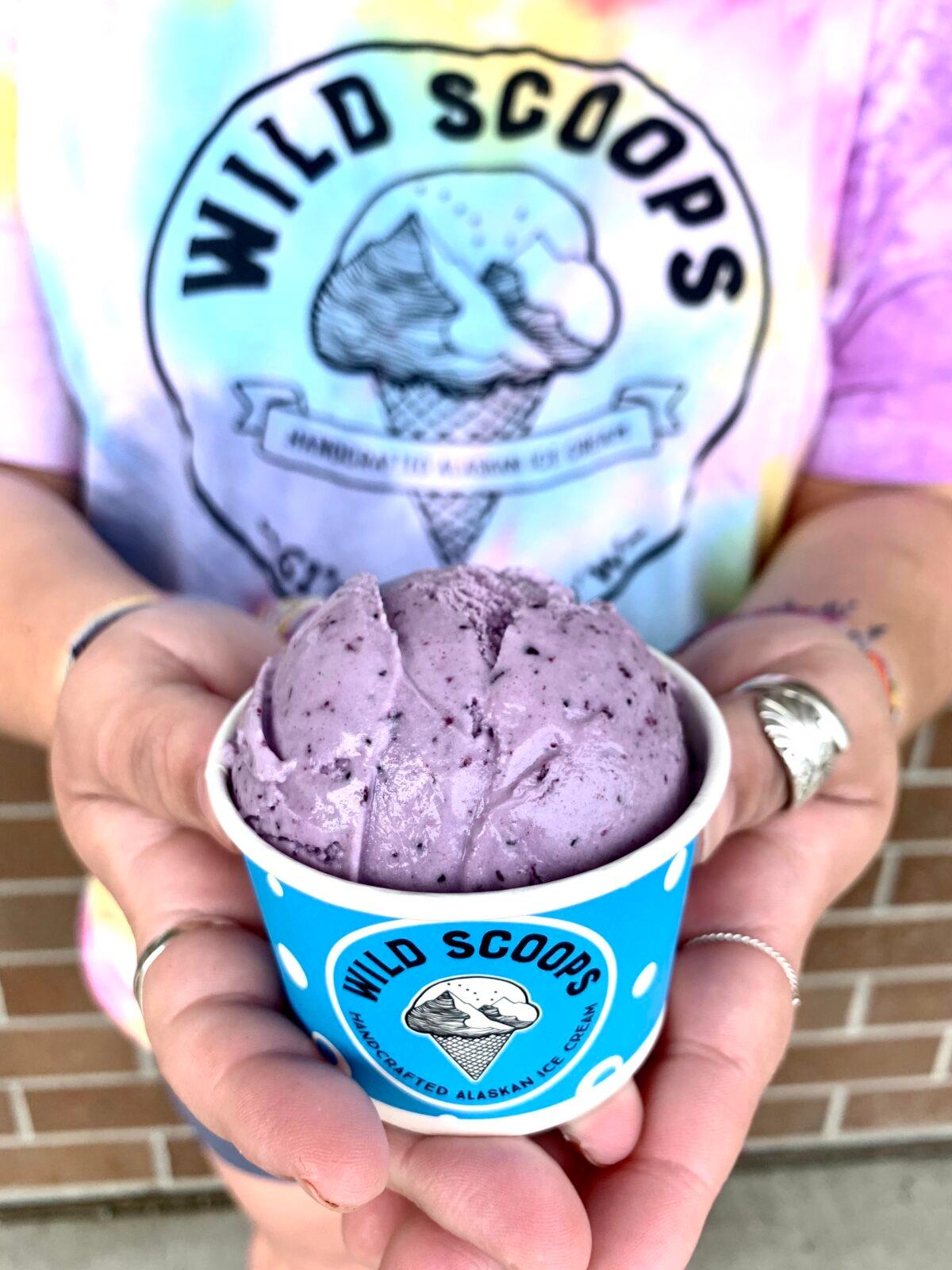 Wild blueberry ice cream at Wild Scoops in Anchorage, Alaska. (Courtesy of Wild Scoops)