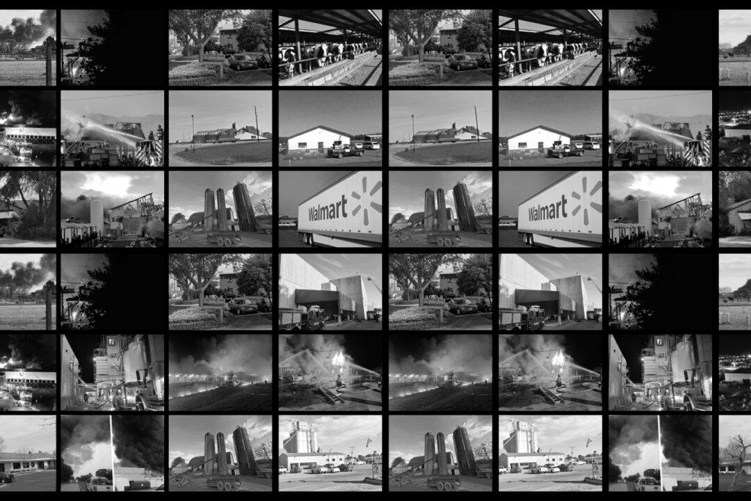 Food Company Fires: Accidental or Suspicious?