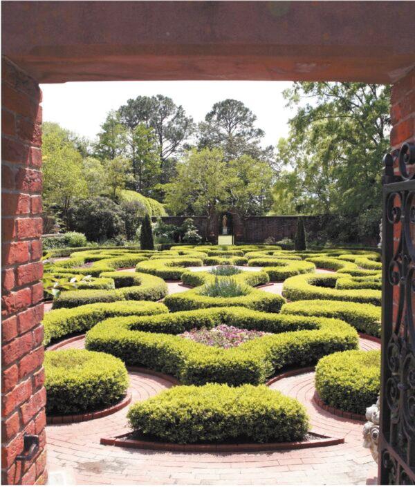 The Latham Garden is a formal parterre-style garden with its tailored hedges of dwarf yaupon holly and boxwood forming symmetrical patterns. (Courtesy of Tryon Palace)