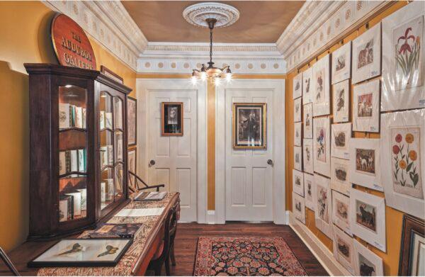 Annandale’s second- floor gallery is filled with 18th- and 19th-century hand- colored etchings and lithographs of flora and fauna. (Imaginary Lines, Mary Brandt Photography)