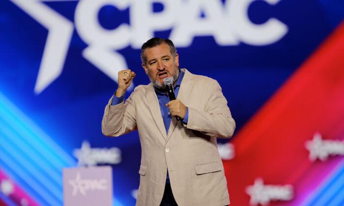 Ted Cruz Says Midterms Will Be ‘Red Tsunami', Democrats Can Only Focus on Abortion