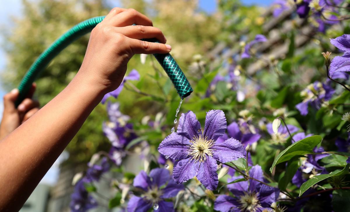 Brits Encouraged to Snitch on Neighbours Who Breach Outdoor Water Restrictions