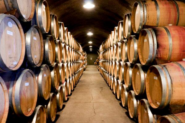 French oak barrels ferment wine at Castello di Amorosa in Calistoga, Calif., on July 30, 2022. (Cynthia Cai/NTD)