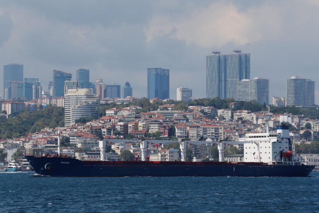 First Ukraine Ship Under Grain Deal Will Not Dock in Lebanon on Time: Embassy