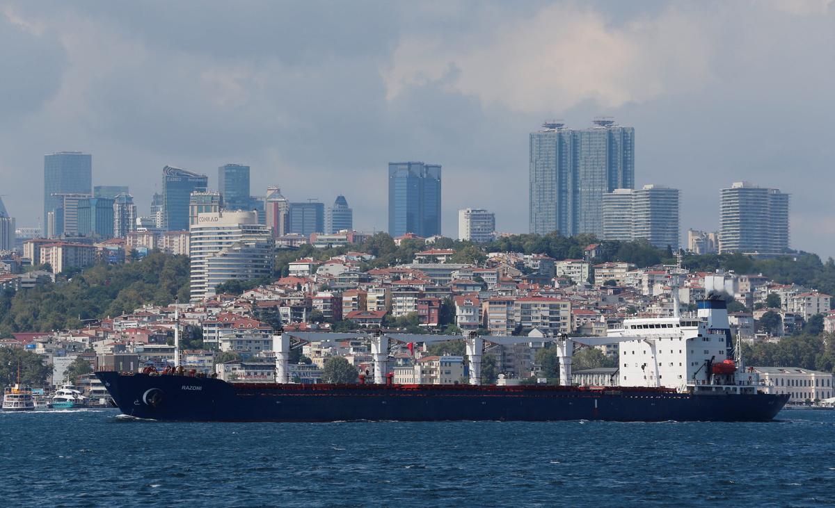 First Ukraine Ship Under Grain Deal Will Not Dock in Lebanon on Time: Embassy