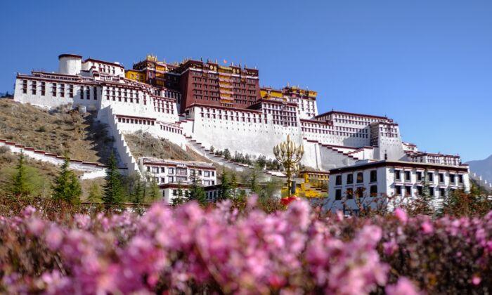Tibetan Independence Is Now