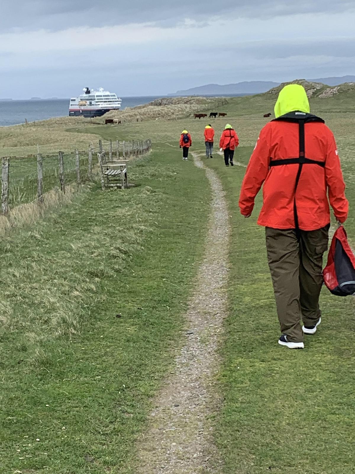 Stranded Hurtigruten passengers walk across a cow pasture on the Scottish island of Iona to get to their ship. (Courtesy of Sharon Whitley Larsen)