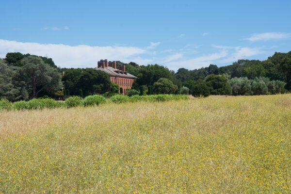 The back of the Filoli House as seen from the grasslands of the estate trail. (Courtesy of Karen Gough)