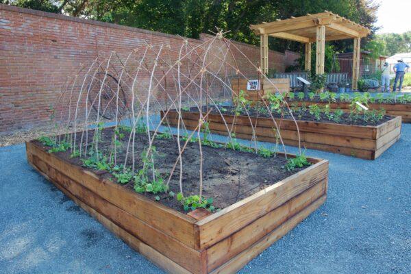 Raised vegetable beds with drip irrigation and an arched trellis showcase a tidy vegetable garden. (Courtesy of Karen Gough)