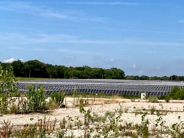 Solar farms are a new addition in the city of Canton, Texas, where ranchers have been liquidating their cattle herds and selling their property to development interests. (Allan Stein/The Epoch Times)