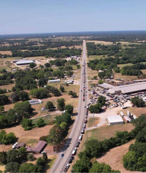 A line of vehicles hauling cattle lined up outside a sale barn near Canton recently. Many Texas ranchers have decided to cull their herds in light of rising feed costs and drought. (Courtesy of Brad Allison)