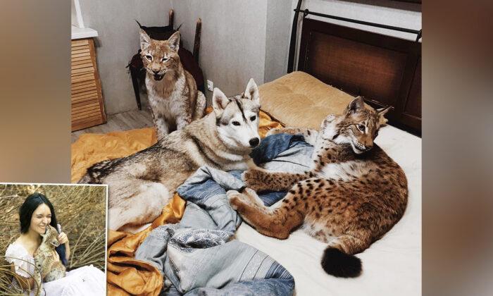Woman Rescues 2 Baby Lynxes From Fur Farm, Raises Them With Her Other Animals