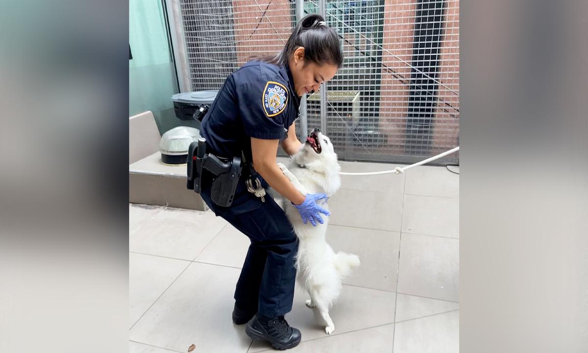 'This Pup Will Never Be Neglected Again': NYPD Officer Adopts Dog She Rescued From a Hot Car