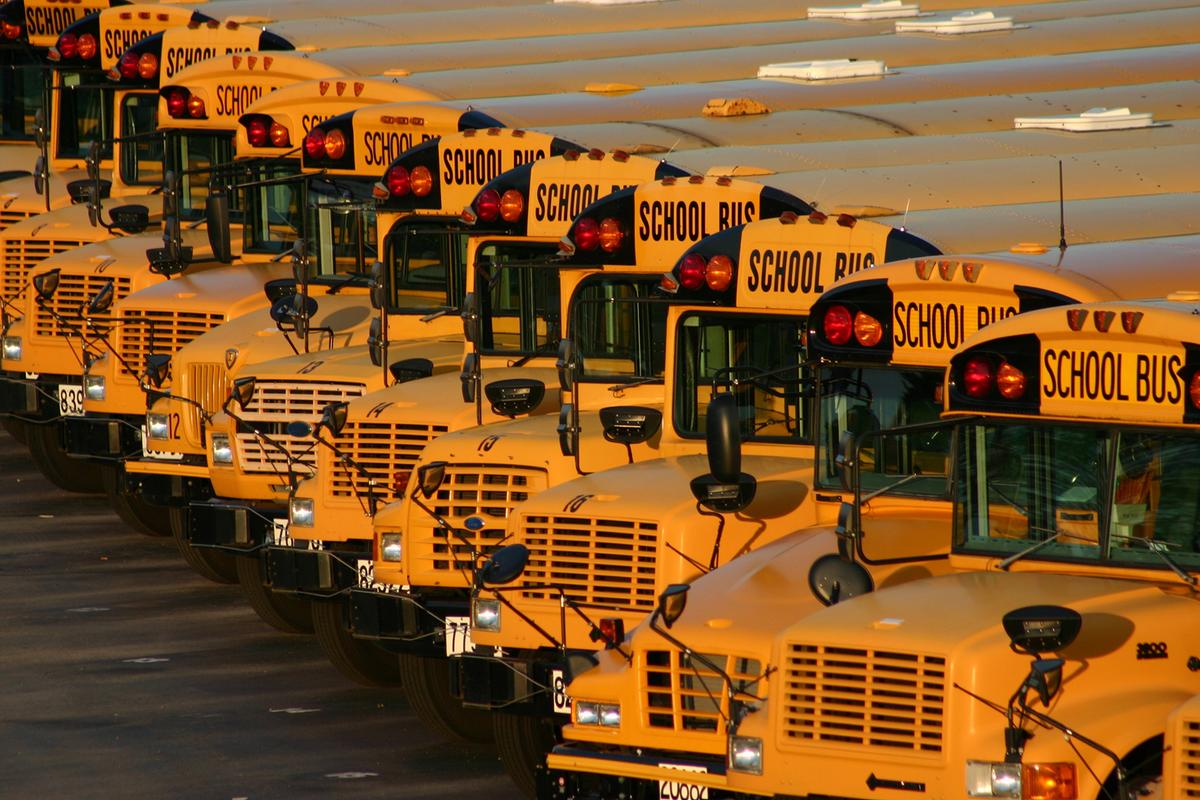 Black Mom Sues LA Unified Over Cotton-Picking Project at Elementary School, Lawsuit Says