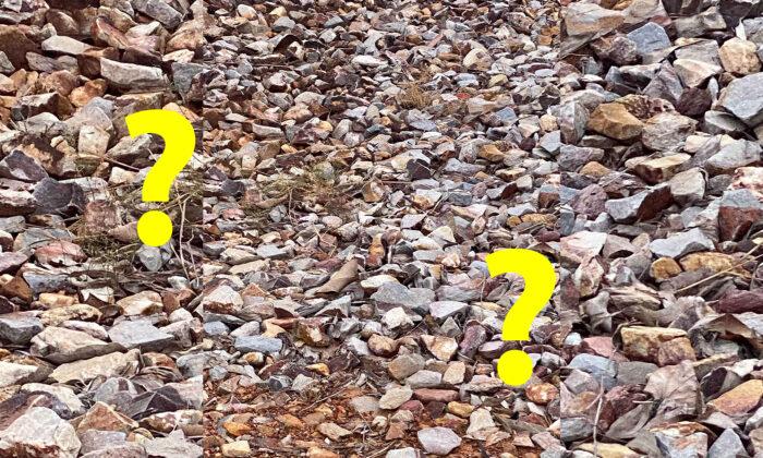 Can You Spot the Finches Hiding in These Rocky Landscape Photos? You'll Need Eagle Eyes to Spot Them All