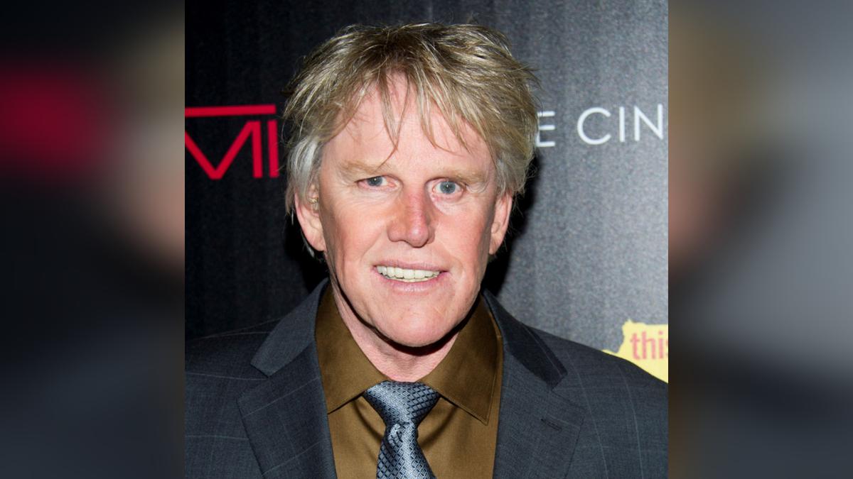 Gary Busey Charged With Sex Offenses at Monster-Mania Con