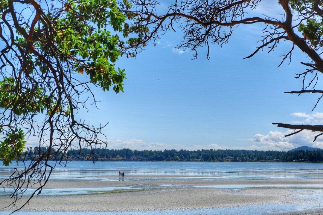 Things To Do On Vancouver Island