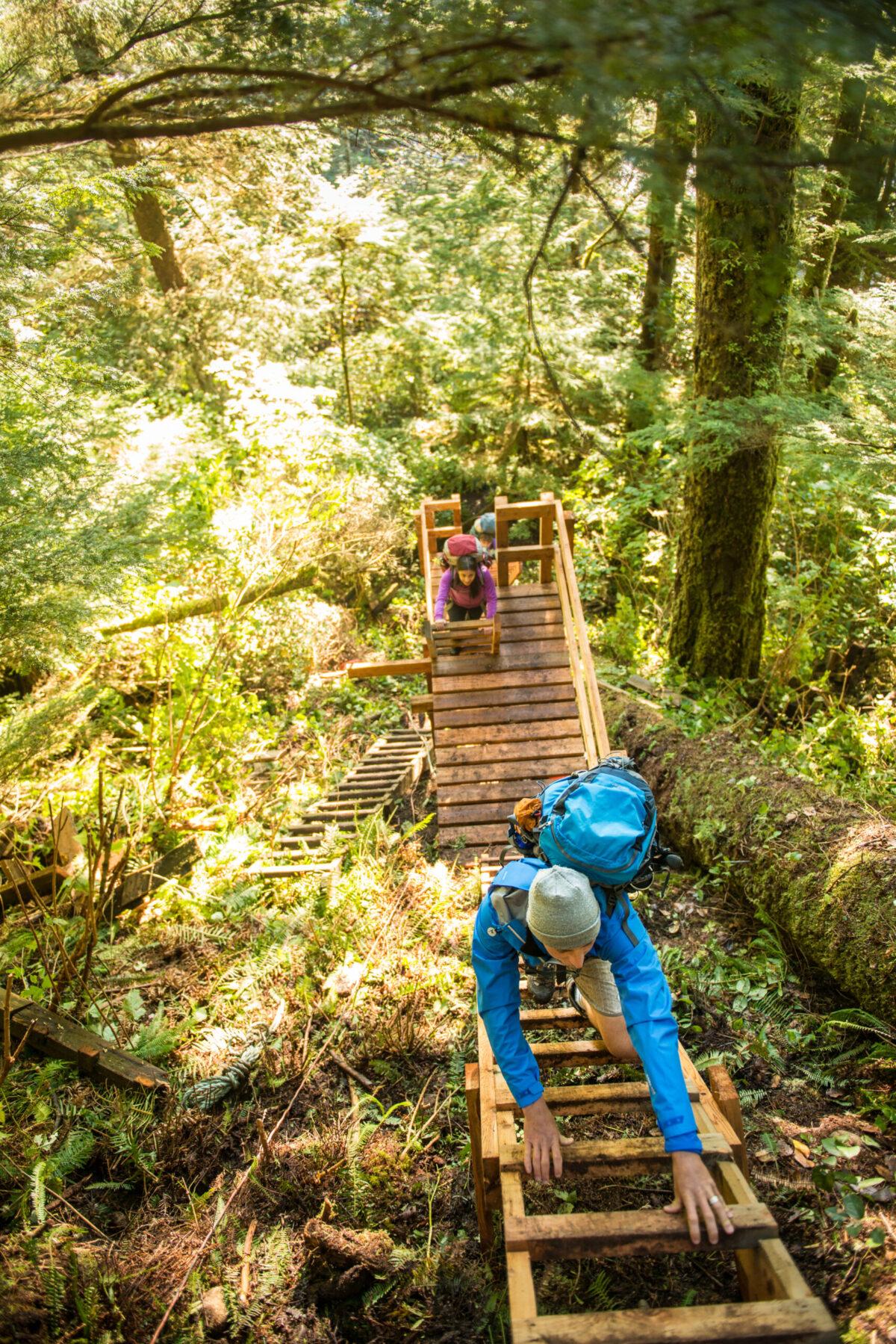 Multi-level ladders like this are just one of the many challenging hiking features found on the West Coast Trail. Pacific Rim National Park Reserve.). (Parks Canada / Scott Munn)