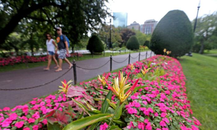 What Are Boston’s Most Romantic Places?