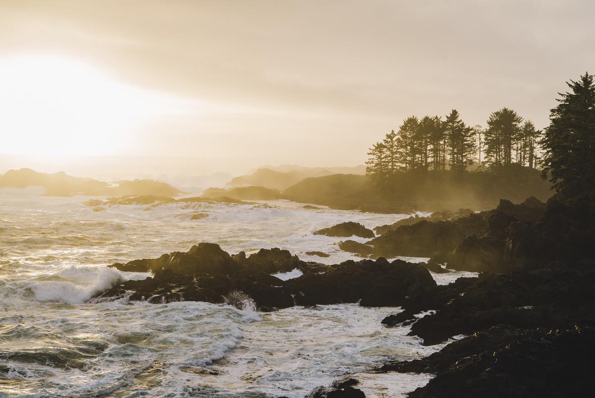 Sunrise at Wild Pacific Trail, the Coast of Vancouver Island in Ucluelet. (Tourism Vancouver Island/Ben Giesbrecht)