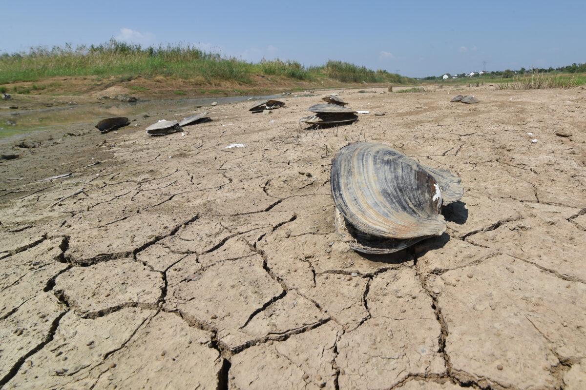 Dry sections of a lake in Nanjing in China's eastern Jiangsu Province on Aug. 21, 2022. (STR/AFP via Getty Images)