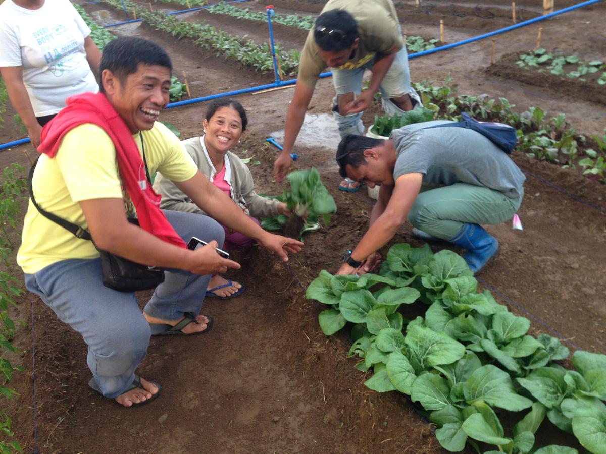 Mittleider gardeners in the Philippines reap their bounty. (Courtesy of the Food for Everyone Foundation)