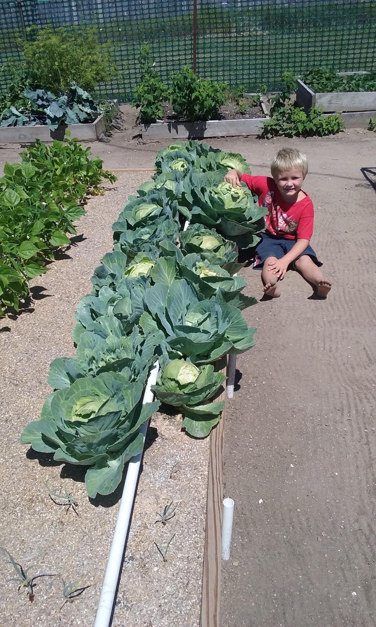 A young Mittleider gardener shows off his soon-to-be harvest. (Courtesy of the Food for Everyone Foundation)