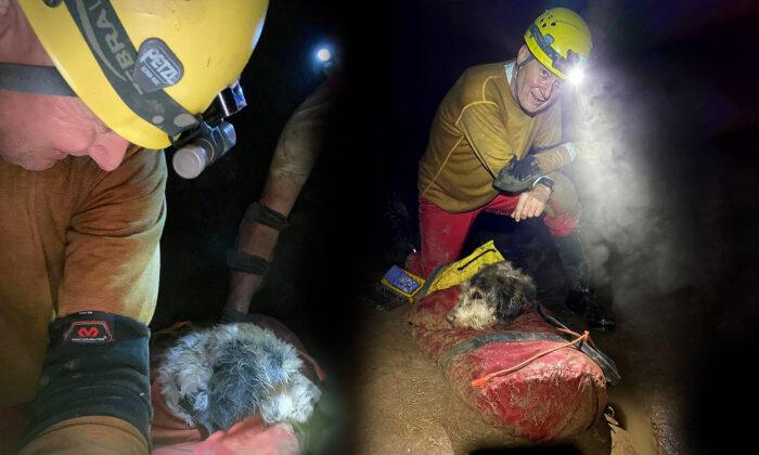 Spelunkers Find Dog 500 Feet Inside Missouri’s 2nd-Largest Cave System After Going Missing for 2 Months