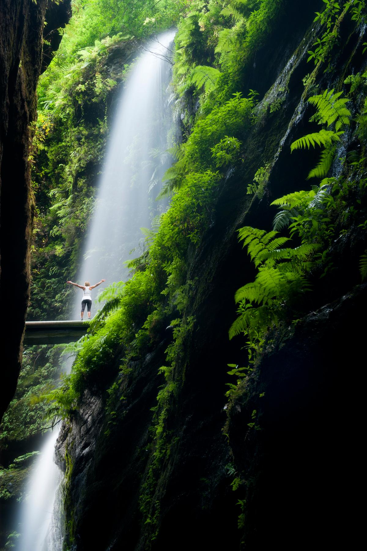 A cascading waterfall at Los Tilos. (Copyright VisitLaPalma.es)