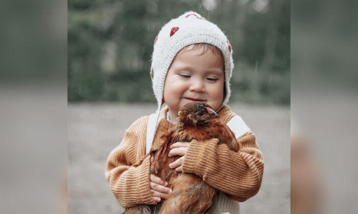 VIDEO: Baby Shares a Special Bond With the Chicks She Raises: ‘She Loves Nature’