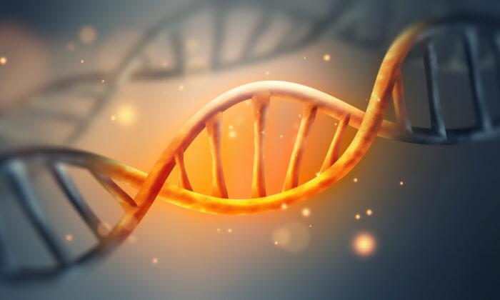 Epigenetic Memories Are Passed Down 14 Successive Generations, Game-Changing Research Reveals