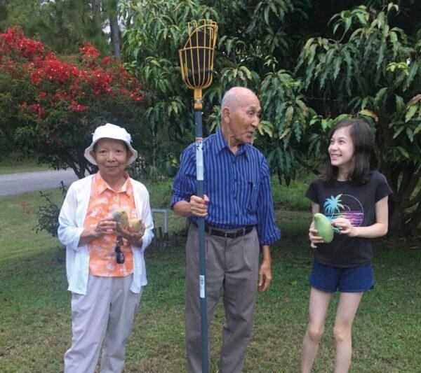 The writer’s mother, father, and daughter pick mangoes together in summer. (Courtesy of Channaly Philipp)