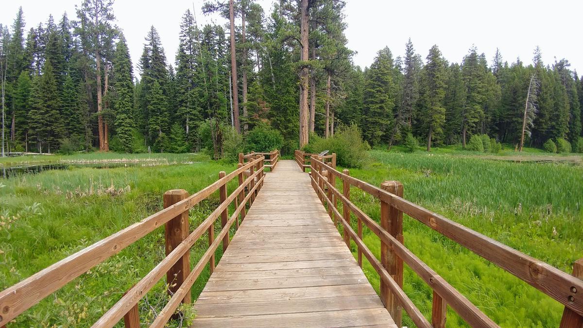 Scenic view of Lily Marsh and walking bridge in Ponderosa State Park in McCall Idaho, camping and hiking or walking trail. (BlisfulBreeze/Shutterstock)