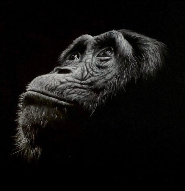Short-listed finalist in the Animal Behavior category: “Hope” by Mike Pickett (UK). Chalk drawing; 11 3/4 inches by 16 1/2 inches. (Courtesy of DSWF)