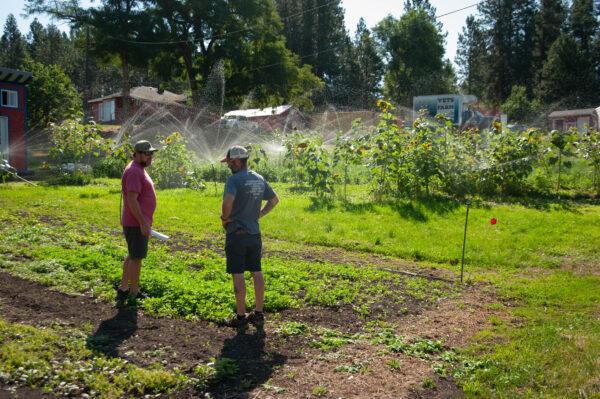 Grant Weber (L) and John Hoff (R) at a carrot patch at Vets on the Farm. (Courtesy of Vets on the Farm)