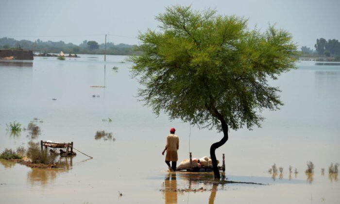 Deaths From Flooding in Monsoon Drenched Pakistan Near 1,000