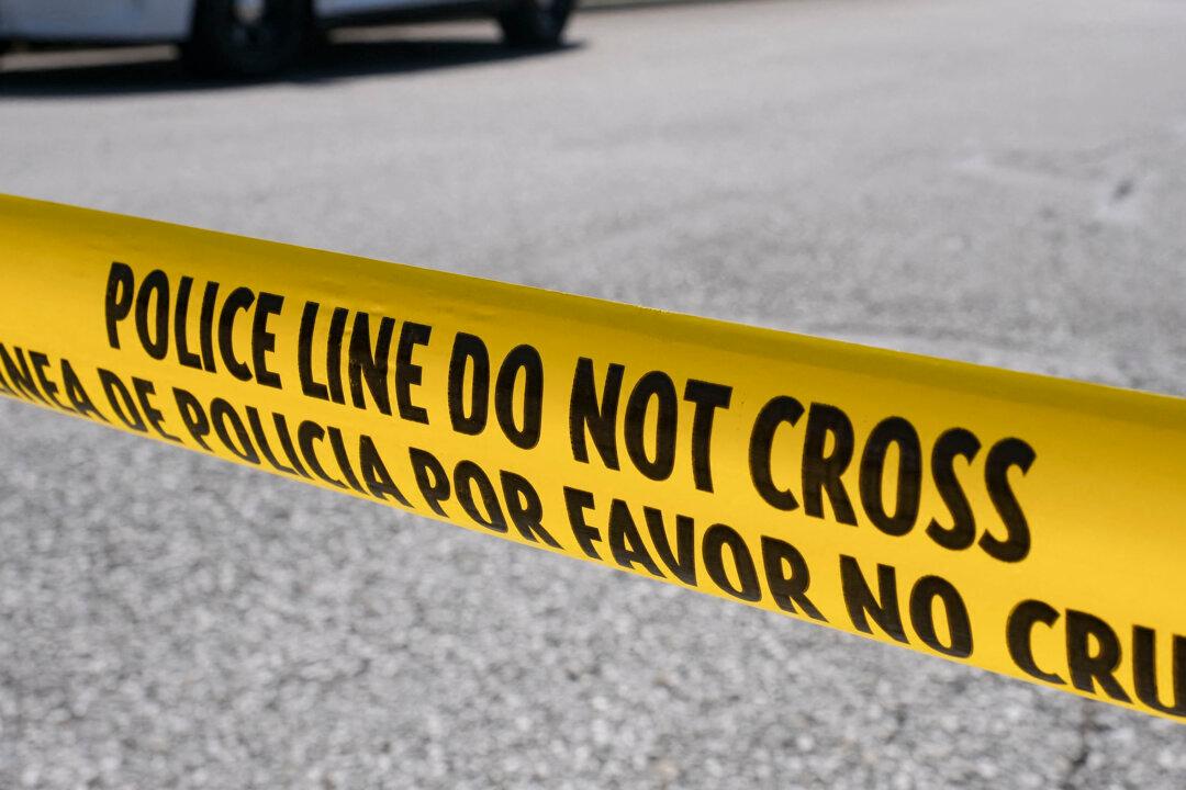 Man Charged With Killing His Wife in 1991 in Virginia Brought Back to US to Face Charges