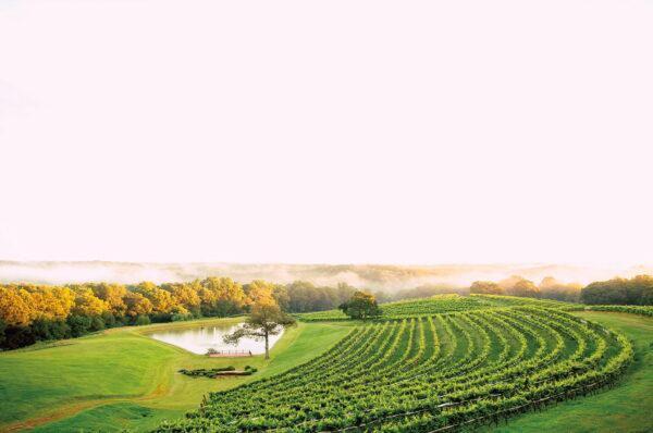 The Montaluce Winery in Dahlonega, Ga. (Courtesy of Montaluce Winery & Restaurant)